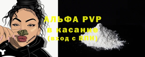 бошки Белокуриха