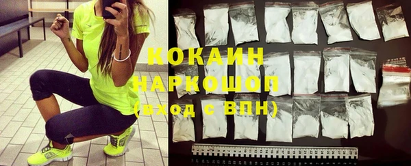 бошки Белокуриха