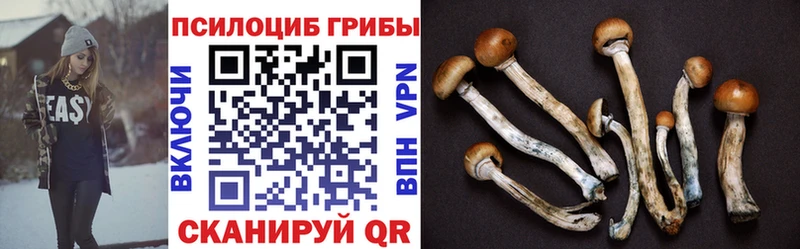 Псилоцибиновые грибы Psilocybine cubensis  цена наркотик  Краснослободск 